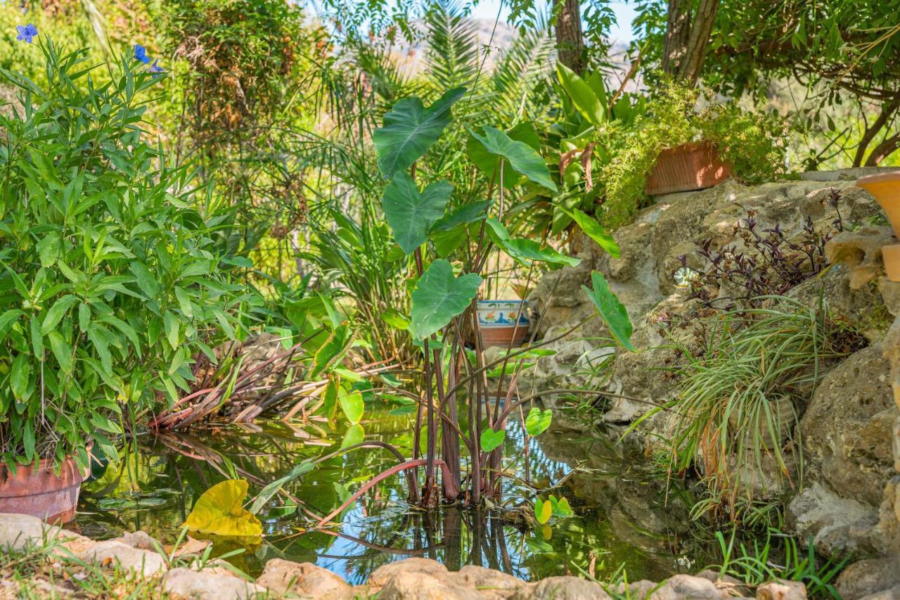 Finca Alqueria Campanet Luaran gambar